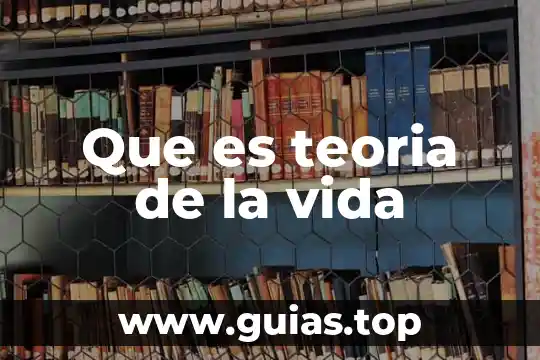 Pqra que es el fintro de muerte en vida 3 Que es teoria de la vida
