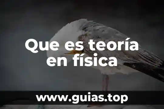 Que es la teoria m en once dimensiones 5 Que es teoría en física