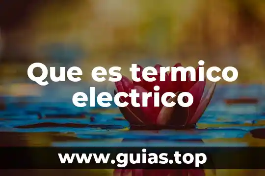 Que es principio de estricto derecho 6 Que es termico electrico