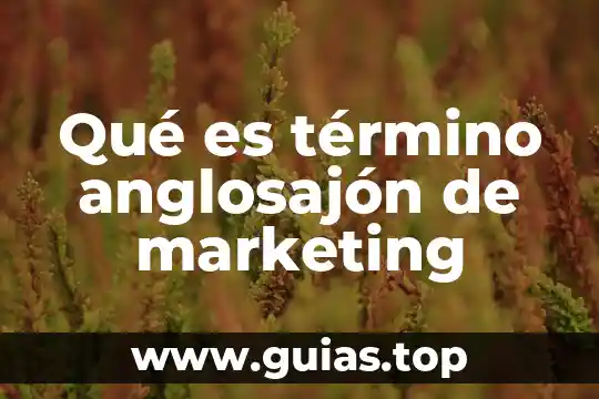 Que es una discontinuidad termino matemático 3 Qué es término anglosajón de marketing
