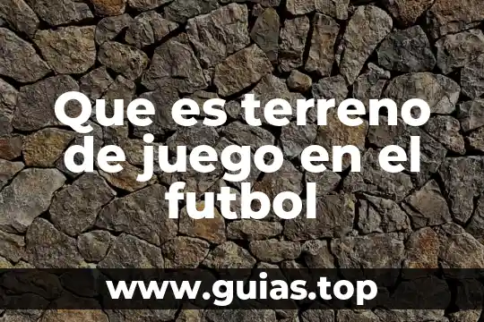 Qué es teoría de juego 6 Que es terreno de juego en el futbol