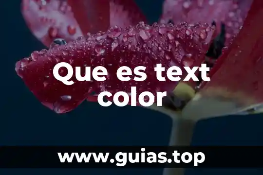 Text box que es 3 Que es text color