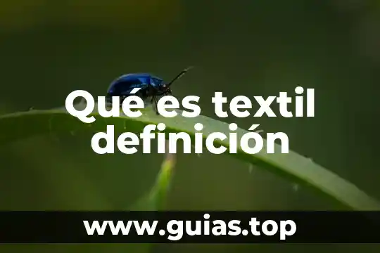 Que es el contro9l de ngresos de personal textil 3 Qué es textil definición