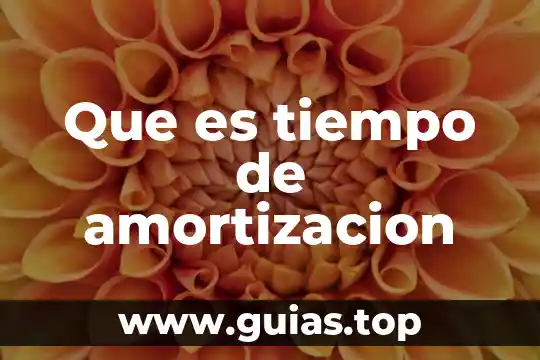 Que es tiempo de adviento para los catolicos 3 Que es tiempo de amortizacion