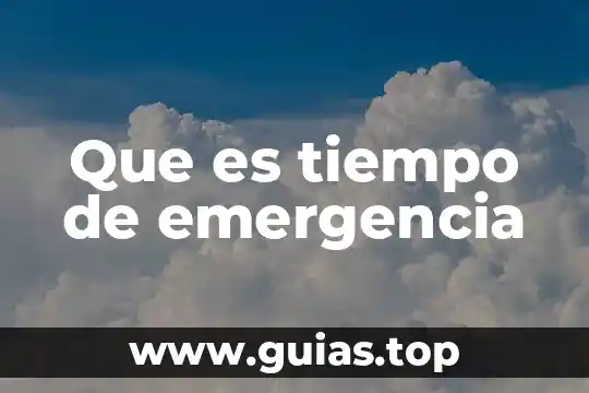 Que es una planta de emergencia y para que sirve 6 Que es tiempo de emergencia