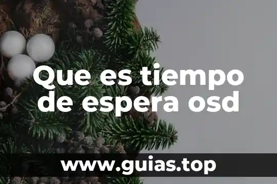 Que es una linea de espera cola 3 Que es tiempo de espera osd