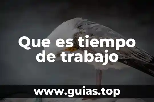 Que es el tiempo en el agedrez 8 Que es tiempo de trabajo