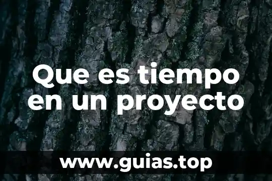 Que es un proyecto y los tipos 4 Que es tiempo en un proyecto