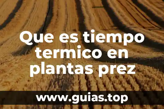 Ejemplos de lo que es la justicia 7 Que es tiempo termico en plantas prez