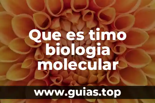 Que es timo biologia molecular
