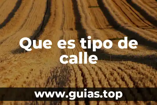 Tipo radial que es 4 Que es tipo de calle