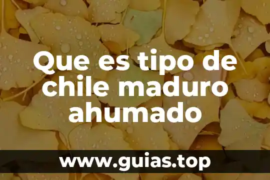 Que es la morfologia de una planta chile jalapeño 7 Que es tipo de chile maduro ahumado