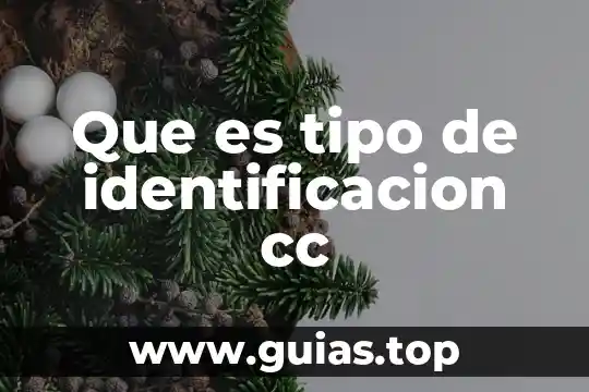 Que es el número de identificación de cuenta ivr 5 Que es tipo de identificacion cc