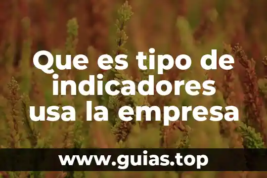 Que es una empresa de gestion de alojamiento 3 Que es tipo de indicadores usa la empresa