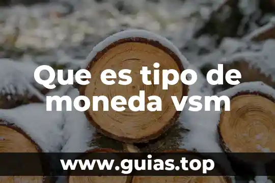 Tipo de cambio definición qué es y concepto economipedia 5 Que es tipo de moneda vsm
