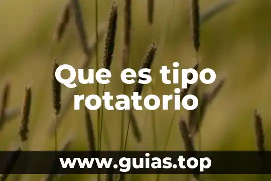 Tipo experimental que es 7 Que es tipo rotatorio