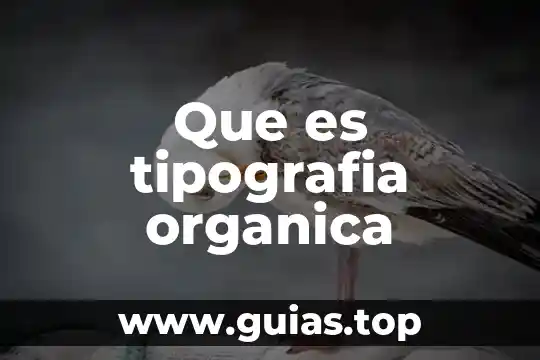 Que es la ideología organica 6 Que es tipografia organica