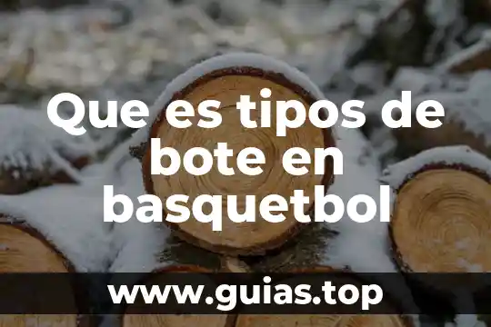 Qué es la familia y tipos de familia explicación 3 Que es tipos de bote en basquetbol
