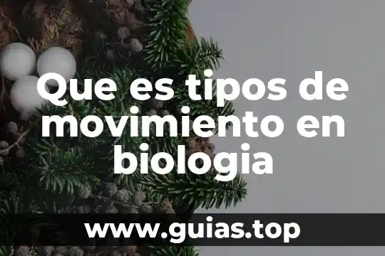 Que es la velocidad tipos de velocidad 6 Que es tipos de movimiento en biologia