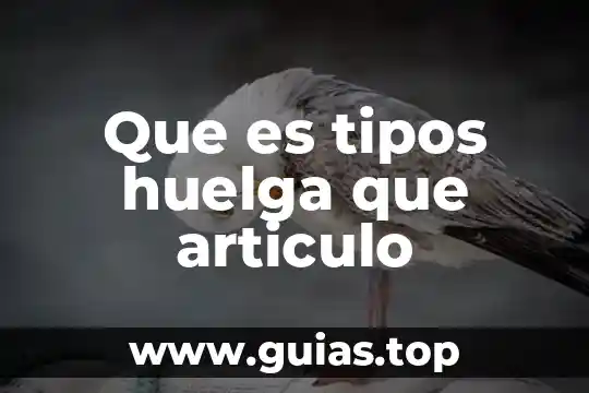 Español que es un articulo 4 Que es tipos huelga que articulo