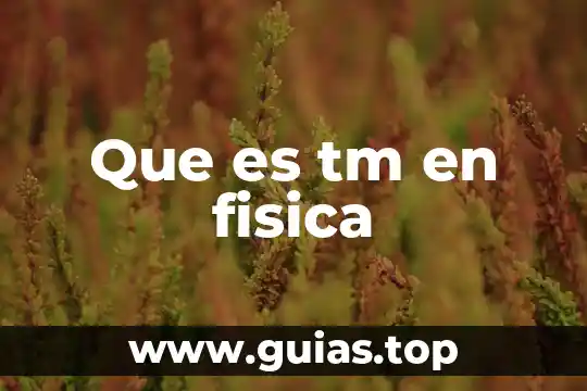 Qué es un radian ulo fisica 3 Que es tm en fisica