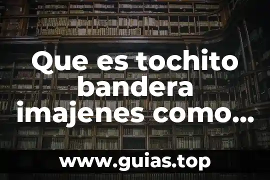 Qué es un verso y cuál es su característica principal 5 Que es tochito bandera imajenes como se caracteristica
