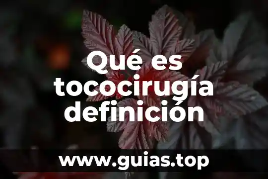 Que es y para que sirve el carbon activado 6 Qué es tococirugía definición