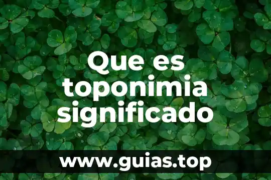 Qué es un principio significado 4 Que es toponimia significado