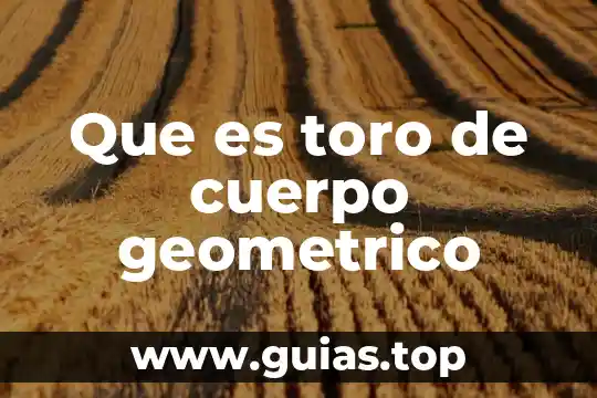 Que es un cuerpo geométrico como s econfarma 3 Que es toro de cuerpo geometrico