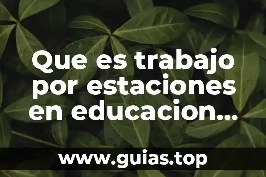 Que es trabajo por estaciones en educacion fisica