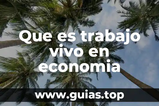 Que es el trabajo para el ser humano 3 Que es trabajo vivo en economia