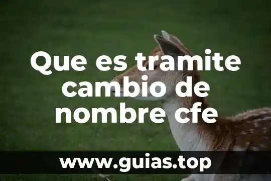 Que es sufijo en formato de nombre 7 Que es tramite cambio de nombre cfe