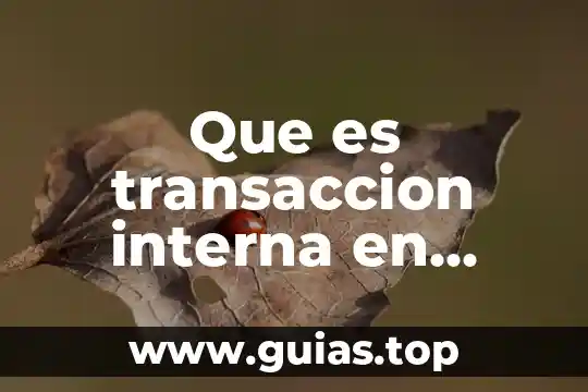 Que es la realidad interna 8 Que es transaccion interna en ingles