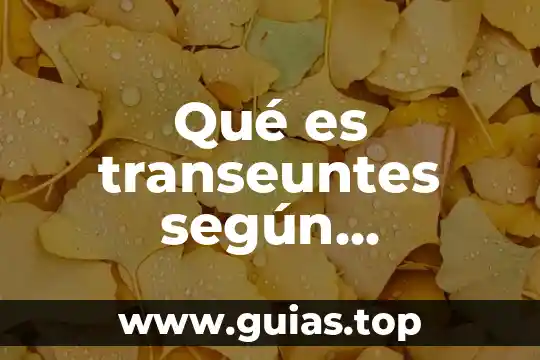 Que es ente concepto juridico 4 Qué es transeuntes según diccionario jurídico