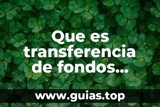Que es una empresa administradora de fondos 4 Que es transferencia de fondos electronicos
