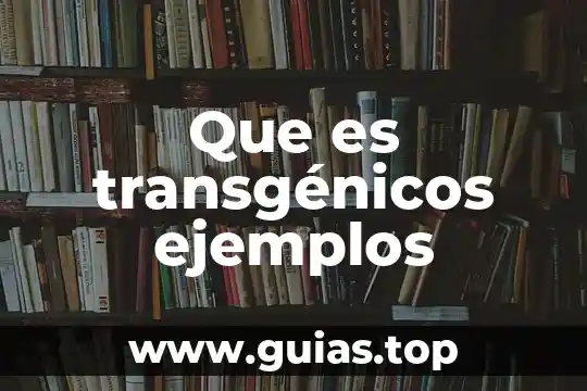 Que es analogia tipos y ejemplos 7 Que es transgénicos ejemplos