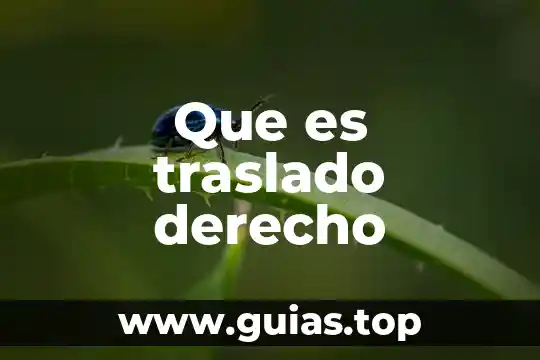Concepto doctrinal de riesgo en derecho mercantil que es 5 Que es traslado derecho