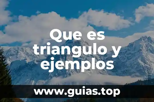 Que es velocidad y sus tipos ejemplos 7 Que es triangulo y ejemplos