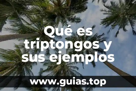 Que es un ente en contabilidad ejemplos 8 Qué es triptongos y sus ejemplos