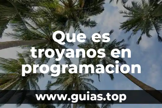 Qué es un lenguaje de programación y tipos 5 Que es troyanos en programacion