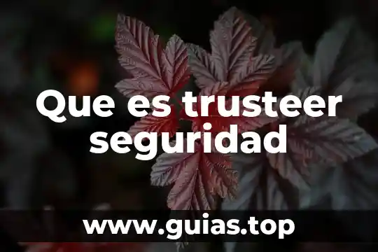 Que es el pictograma de seguridad 3 Que es trusteer seguridad