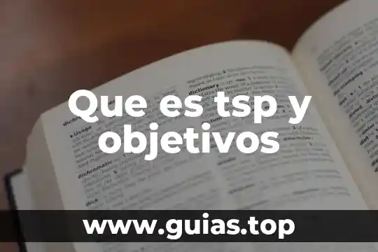 Tamayo que es plantear los objetivos 5 Que es tsp y objetivos