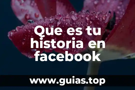 Que es xenofobia en historia universal 7 Que es tu historia en facebook
