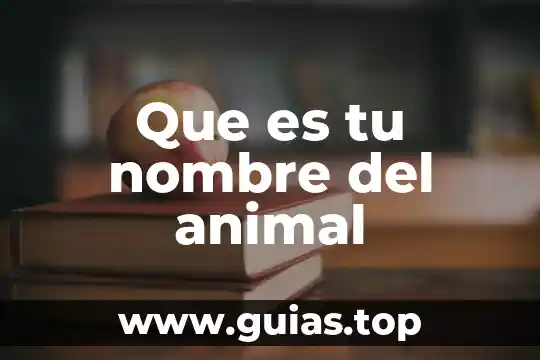 Válvula pulmonar que es 3 Que es tu nombre del animal