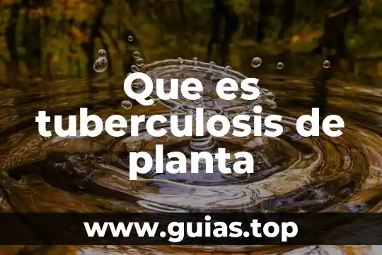 Que es un embrion en una planta 7 Que es tuberculosis de planta