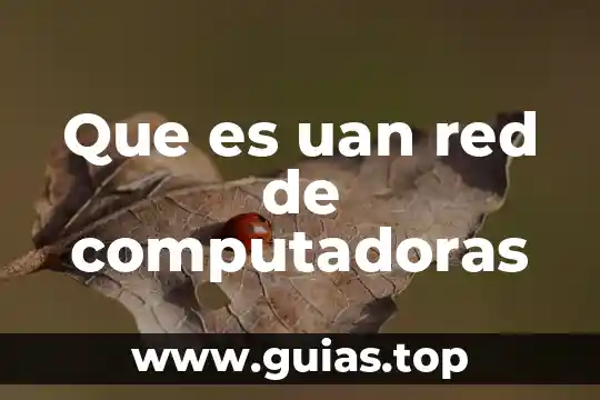 Que es la celula ly la animal 3 Que es uan red de computadoras