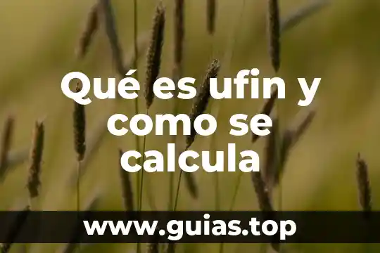 Que es el auxilio de cesantia y como se calcula 5 Qué es ufin y como se calcula