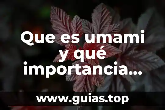 Que es el mercado y tipos de mercado 7 Que es umami y qué importancia tiene en el mercado