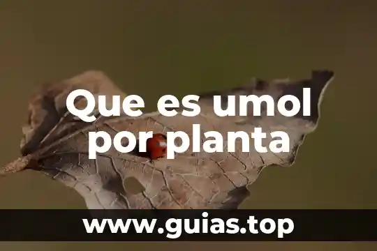 Qué es aptitud de una planta 5 Que es umol por planta