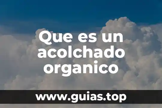 Por que es tan rica el agua 3 Que es un acolchado organico